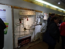 150-ans-Alliance-085