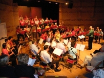 Concert-ete-2009-02