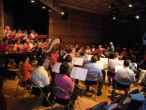 Concert-ete-2009-03