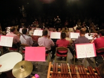 Concert-ete-2009-36