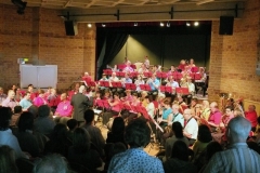 Concert-ete-12-002