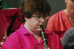 Concert-ete-12-013