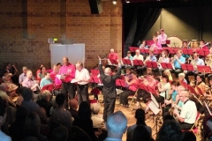 Concert-ete-12-035