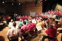 Concert-ete-12-112
