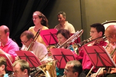Concert-ete-12-116