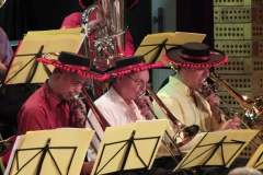 Concert-ete-13-37