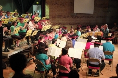 Concert-ete-13-43