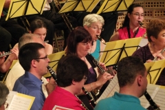Concert-ete-13-66