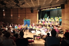 Concert-ete-2014-03