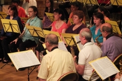 Concert-ete-2014-07