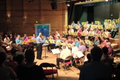 Concert-ete-2014-10