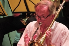 Concert-ete-2014-29