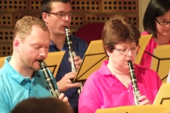 Concert-ete-2014-31