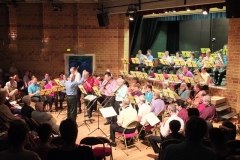 Concert-ete-2014-39