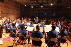 Concert-ete_2015-40