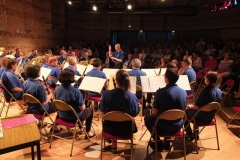 Concert-ete_2015-45