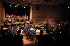 Concert-ete_2015-51