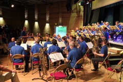 Concert_ete_16-68