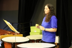 Concert-ete-18-111