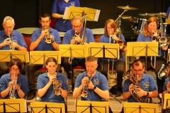 Concert-ete-18-124
