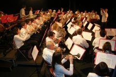 Concert du Nouvel An 2010
