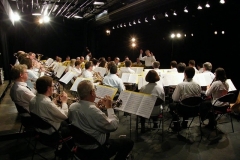 Concert du Nouvel An 2011