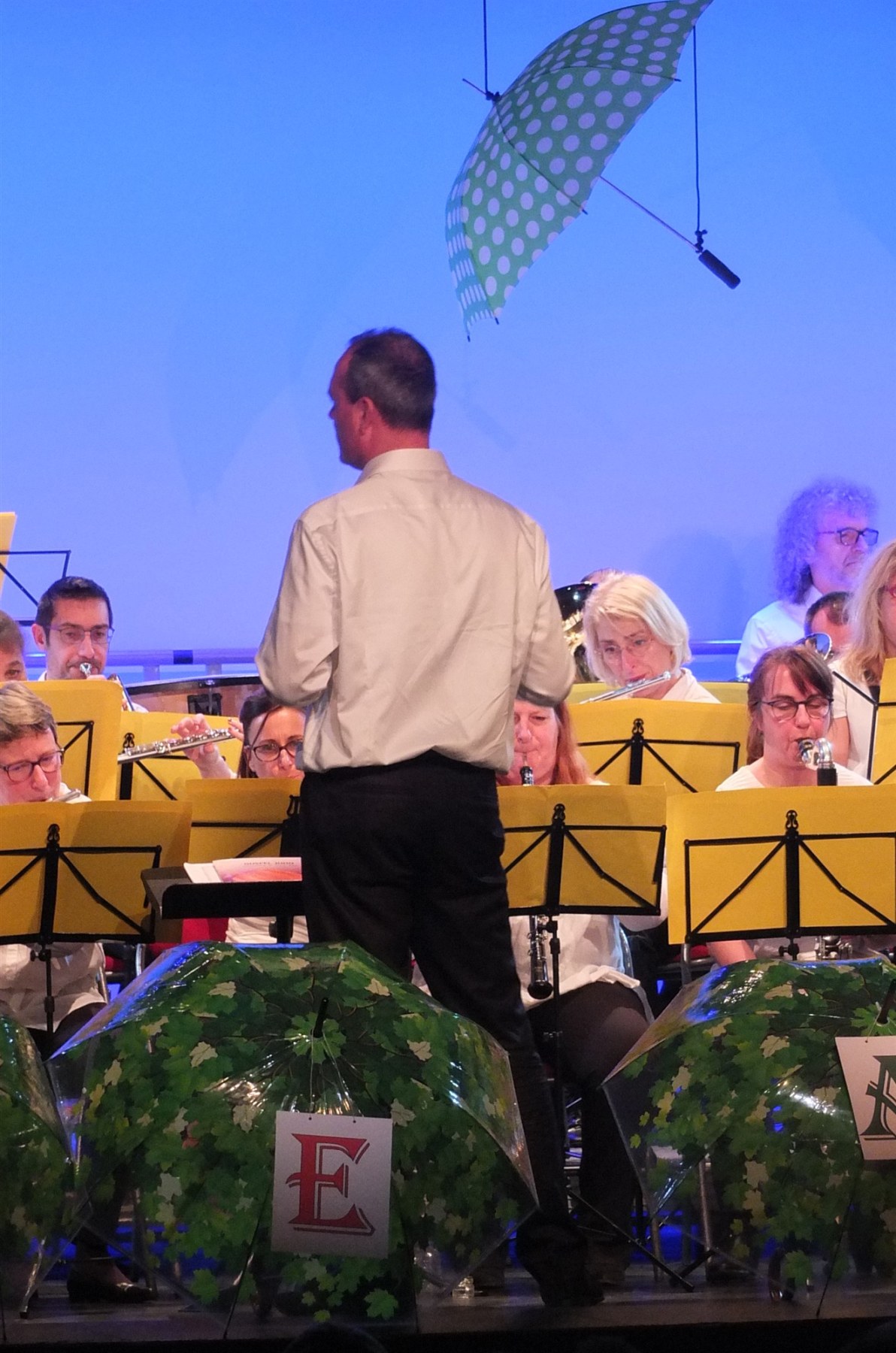 Concert-du-Nouvel-An-2020-089