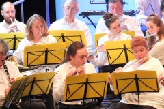 Concert-du-Nouvel-An-2020-017