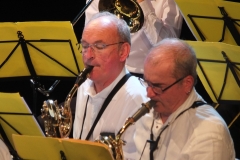 Concert-du-Nouvel-An-2020-020