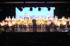 Concert-du-Nouvel-An-2020-038