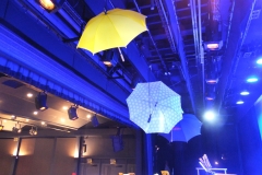 Concert-du-Nouvel-An-2020-060