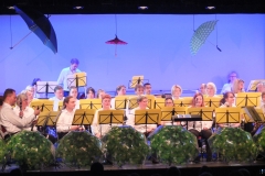 Concert-du-Nouvel-An-2020-061