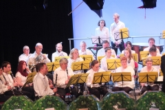 Concert-du-Nouvel-An-2020-069