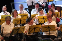 Concert-du-Nouvel-An-2020-076