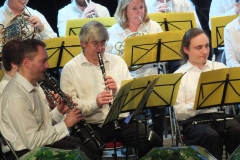 Concert-du-Nouvel-An-2020-079