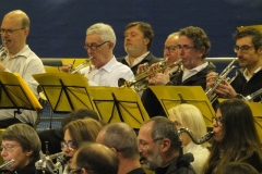 Concert-du-Nouvel-An-23-13