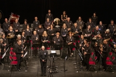 Concert-Nouvel-An-26-23