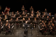 Concert-Nouvel-An-26-24