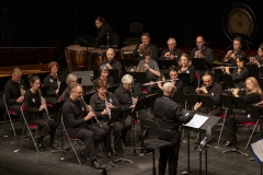 Concert-Nouvel-An-26-28