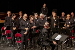 Concert-Nouvel-An-26-65