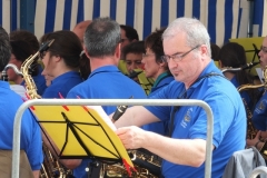 Fete-musique-2015-13