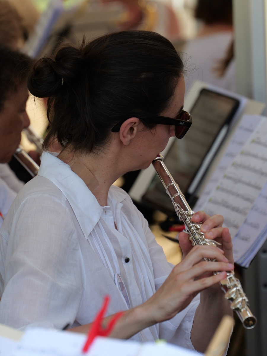 Fete-de-la-musique-Mesnil-2025-062
