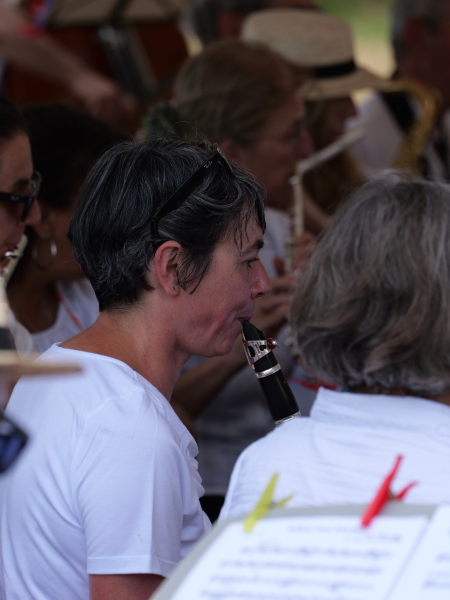Fete-de-la-musique-Mesnil-2025-064