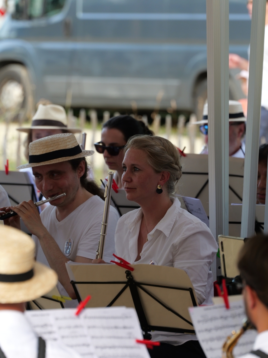Fete-de-la-musique-Mesnil-2025-069