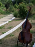 Fete-de-la-musique-Mesnil-2025-023