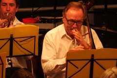 1_Concert-Nouvel-An-2014-011