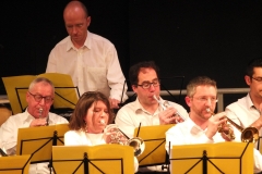 1_Concert-Nouvel-An-2014-015