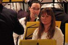 1_Concert-Nouvel-An-2014-017