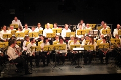 1_Concert-Nouvel-An-2014-029