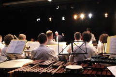 1_Concert-Nouvel-An-2014-030